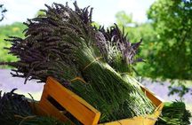 Lavender and Salda lake guided tour with lunch and pick-up