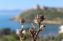 Guided hike to the Devil's Saddle in Cagliari