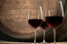 Visit of Argiolas Winery in Serdiana from Cagliari with tastings