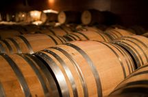 Visit of Argiolas Winery in Serdiana from Cagliari with tastings