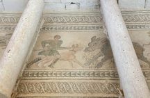 Guided tour of the Roman Villa of Salar from Granada