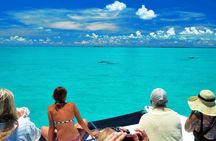 Key West day trip with parasailing adventure