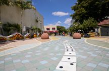 Miami city tour