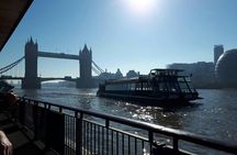Magic of London tour with champagne afternoon tea