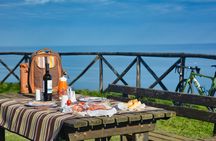 San Bartolo Mount picnic by e-bike