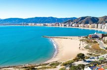 1 day guided tour of Cullera and the Albufera Valenciana from Alicante