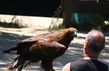 Cabárceno Natural Park tickets and guided tour from Santander
