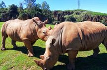 Cabárceno Natural Park tickets and guided tour from Santander