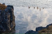 Sky Lagoon experience with roundtrip transfer in Reykjavik