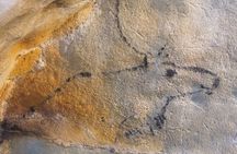El Castillo caves and Paleolithic art day trip from Santander