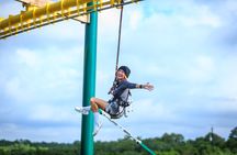 Bridge Zip rails and Ropes Course