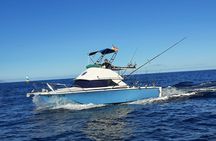 Half-Day Fishing Boat Experience From Puerto Colon Tenerife