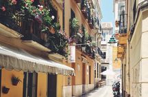 Malaga guided tour with Alcazaba, Roman Theater and Cathedral