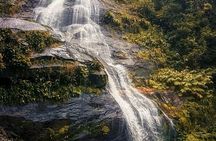 Half-day guided moderate hike at Tijuca Forest