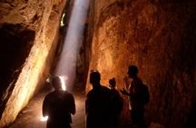 Half-day guided moderate hike at Tijuca Forest