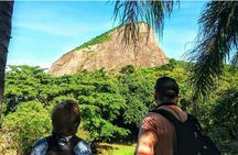 Tijuca Forest and Penhasco Dois Irmãos Park nature eco tour