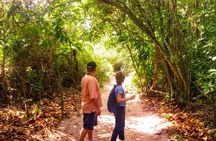 Tijuca Forest and Penhasco Dois Irmãos Park nature eco tour
