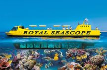 Full-day Royal Seascope and snorkeling cruise with lunch from Dahab