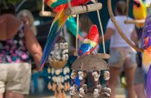 Tour of Boca de Yuma cliffs and beach with pick-up and boat ride