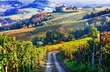 The essence of Tuscany tour with wine tasting and lunch