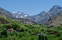 Day trip to Imlil from Marrakesh