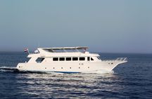 Snorkeling cruise with lunch and drinks from Dahab