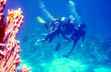 Diving experiences and packages from Dahab