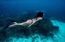 Full day snorkeling guided experience with BBQ lunch in Fujairah