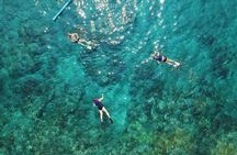 Full day snorkeling guided experience with BBQ lunch in Fujairah