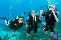 Full day scuba diving for beginners with BBQ lunch in Fujairah