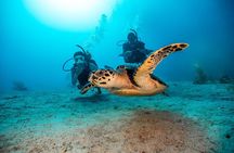 Full day scuba diving for beginners with BBQ lunch in Fujairah