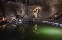 Vistula River cruise and Wieliczka Salt Mine group tour