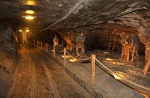 Vistula River cruise and Wieliczka Salt Mine group tour