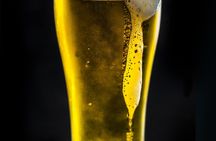 Vistula River cruise and beer walking tour