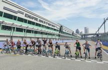 Lion City bike tour in Singapore