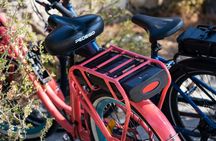 Electric bike rental in Nice