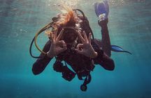 Package 1- 10 dives for certified divers in Tenerife