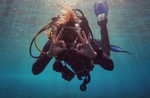 Night dive for certified divers in Tenerife