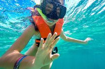 Guided Puerto Morelos Reef Snorkeling with Lunch from Cancun