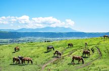 Full-day private minibus tour to Mount Aso from Fukuoka