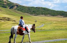 Full-day private minibus tour to Mount Aso from Fukuoka