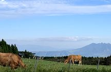 Full-day private minibus tour to Mount Aso from Fukuoka