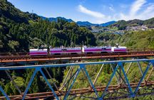 One-day private minibus tour to Takachiho from Fukuoka