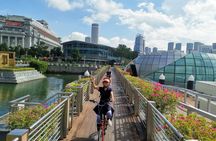 Lion City bike tour in Singapore