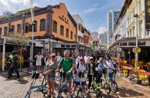 Lion City bike tour in Singapore