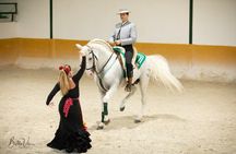 Andalusian horse and flamenco show with dinner in Malaga