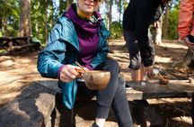 Full-Day Liesjärvi National Park Tour