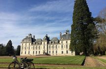 Loire Valley e-bike tour with Chateau de Cheverny and wine tasting