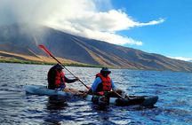 Whale watching tour by kayak in Maui