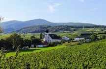 Private Vienna woods wine tour